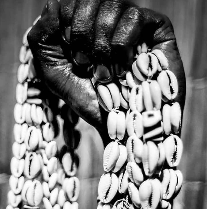 The Cowrie Shell
